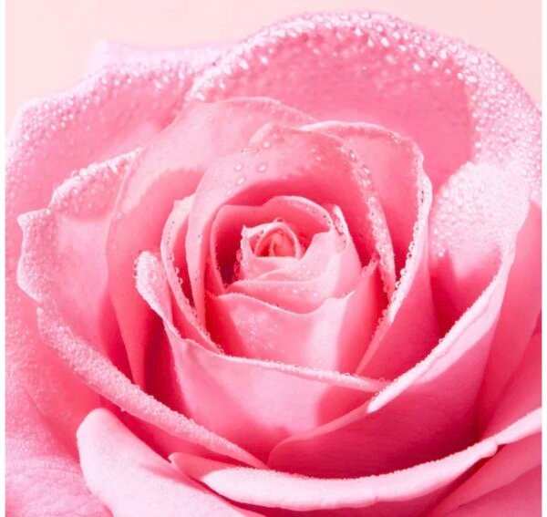 �
Nuxe Gentle Toning Lotion – تونر ورد لطيف بدون كحول، مخصص للبشرة الحسّاسة