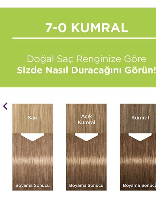 صبغ Palette طبيعي – رقم 7-0 (كُـمَرال / أشقر غامق طبيعي)