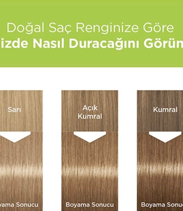 screenshot-202 هذا لون Palette الطبيعي – رقم 8-0 (رغوة العسل / أشقر فاتح طبيعي)، لون ناعم وهادئ