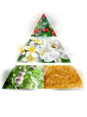 La Rive Vintage Flowers – Eau de Parfum

عطر أنثوي ناعم وكلاسيك