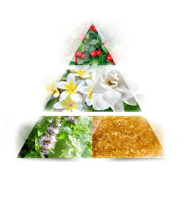 La Rive Vintage Flowers – Eau de Parfum

عطر أنثوي ناعم وكلاسيك