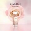 screenshot-395 Câline Parfums – Chérie de Fleurs